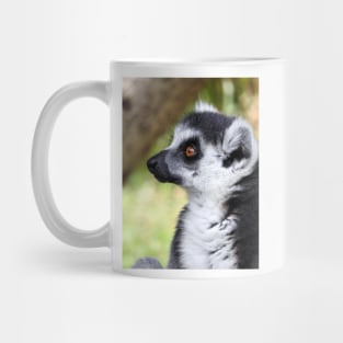 Ring Tailed Lemur Mug